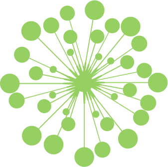 Communication visuelle - Pissenlit - Bouquet - entrepreneur développer pertinente efficace